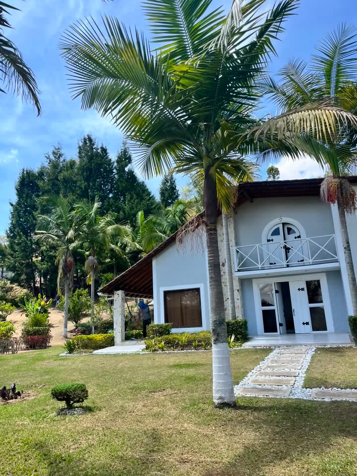 Fachada de la casa de dos plantas, con palmas y camino de piedra